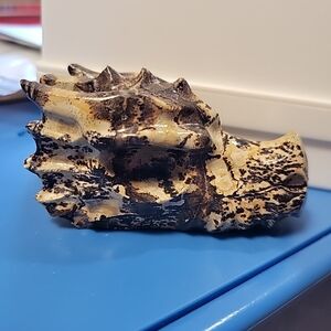 Dendrictic Jasper Dragon Head